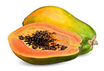 Papaya İhracatı